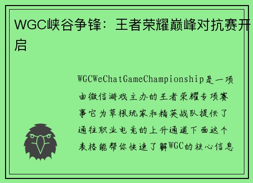 WGC峡谷争锋：王者荣耀巅峰对抗赛开启